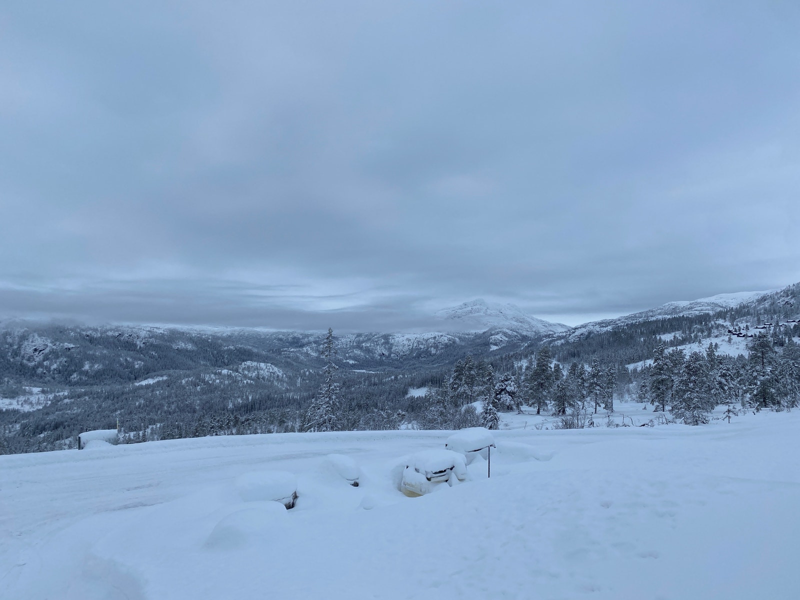 Bilde tatt 1.des 22 - bilde av tomta Galleribilde