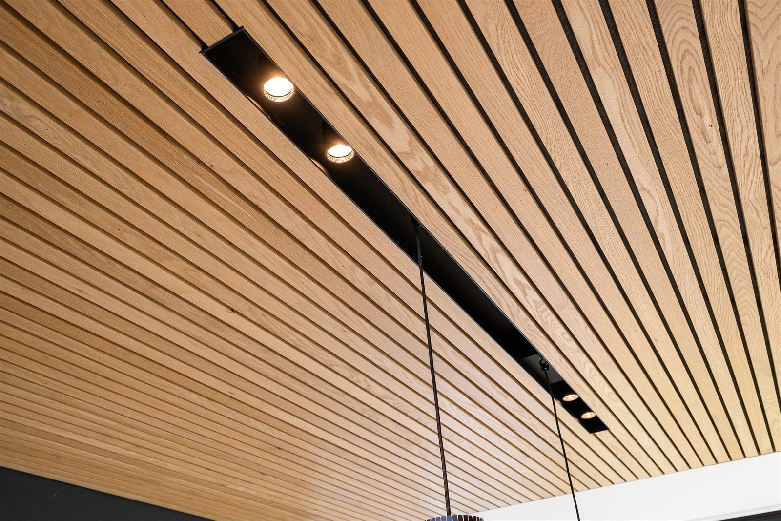 Masse flotte detaljer, her med eksklusive integrerte spotter. Galleribilde