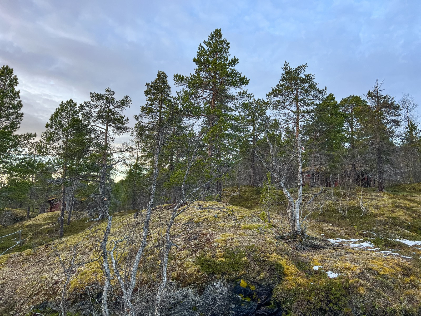 Hytten ligger flott plassert på et naturlig høydedrag. Det er dog behov for å rydde skog for å åpne opp utsikten.
