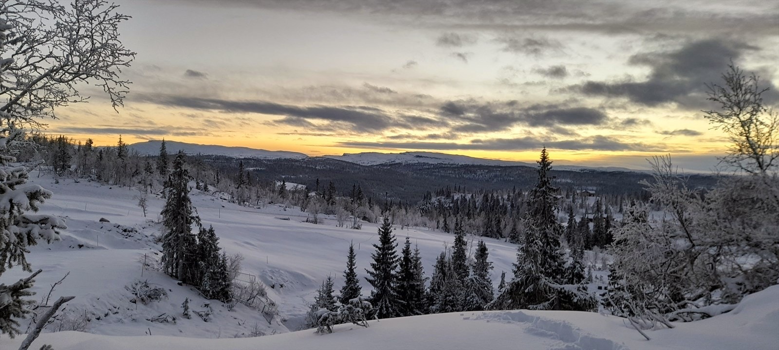Utsiktsbilde fra tomten. Galleribilde