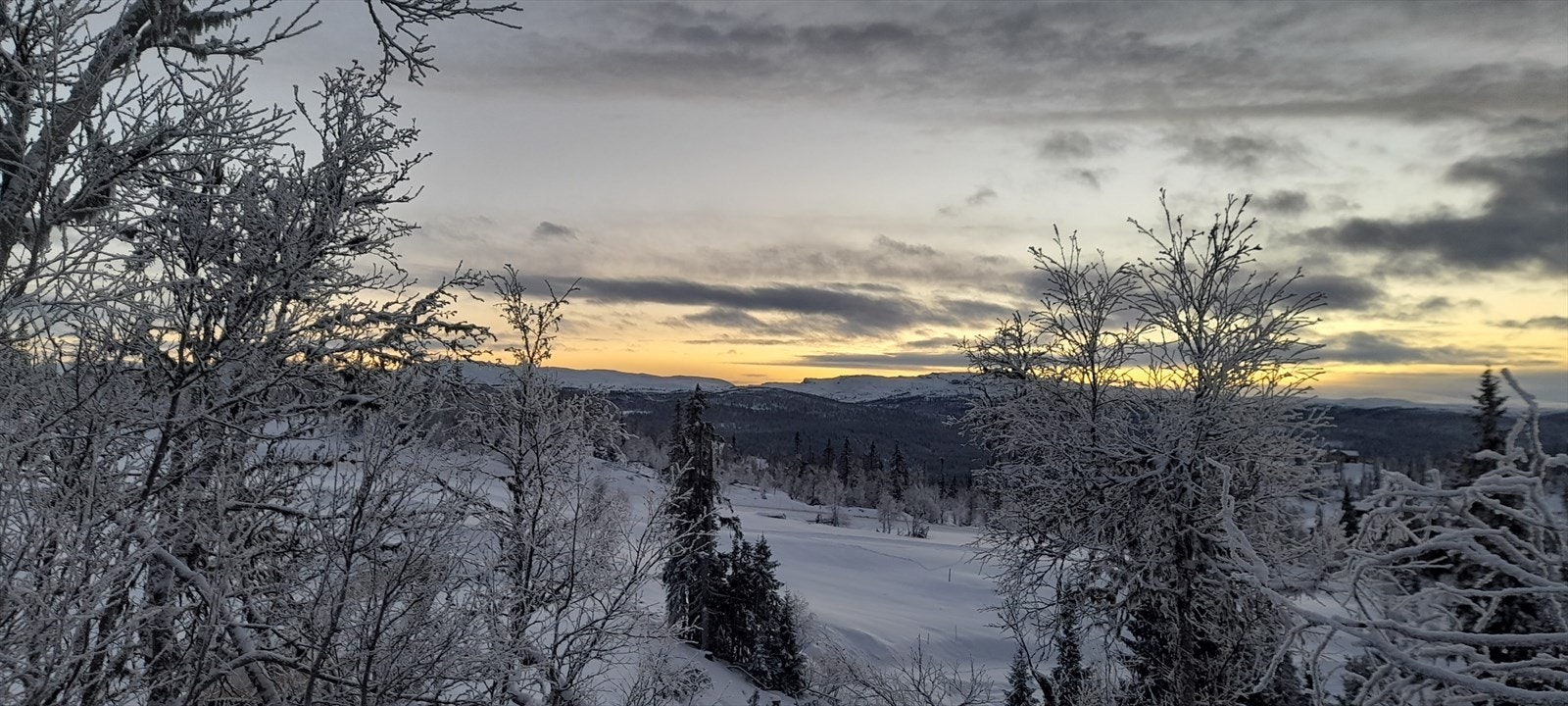 Utsiktsbilde fra tomten. Galleribilde