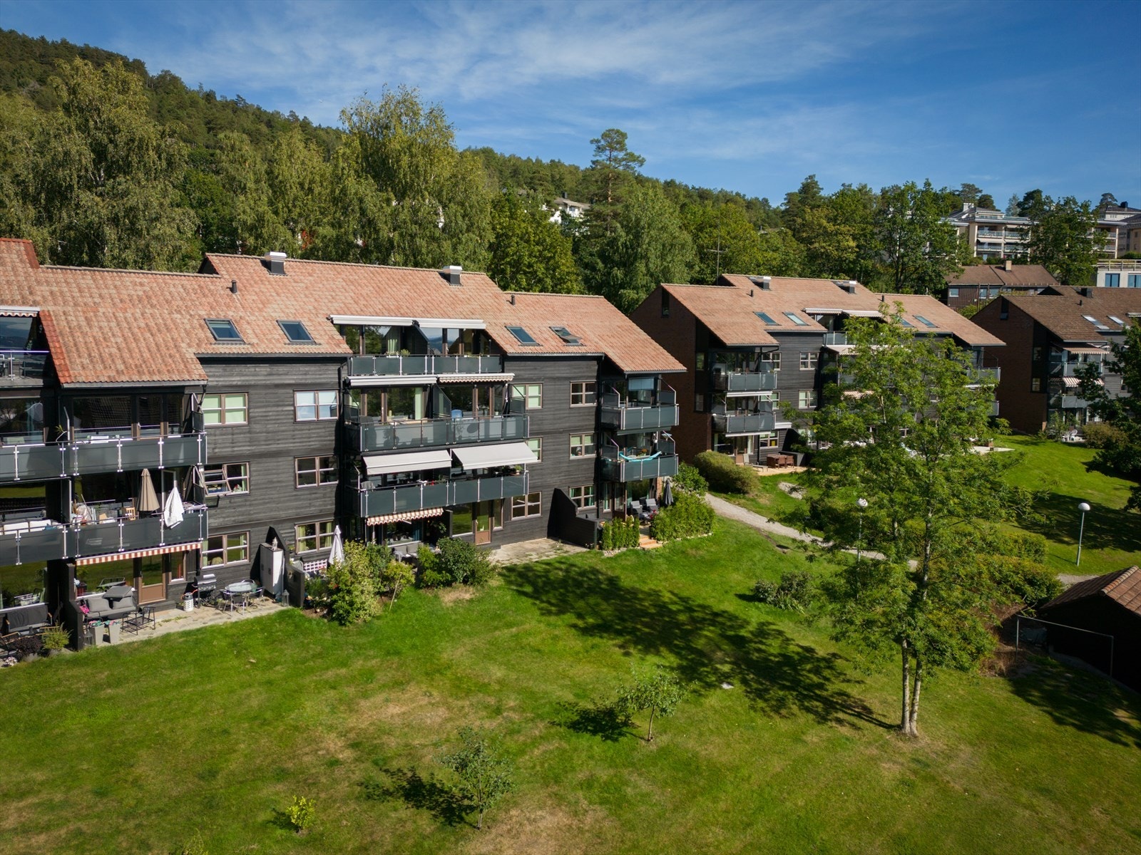 Flotte grønne omgivelser Galleribilde