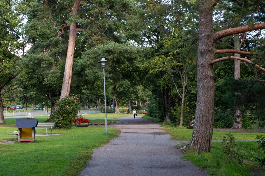 Flotte Bugårdsdammen med sine turområder og lekeplasser Galleribilde