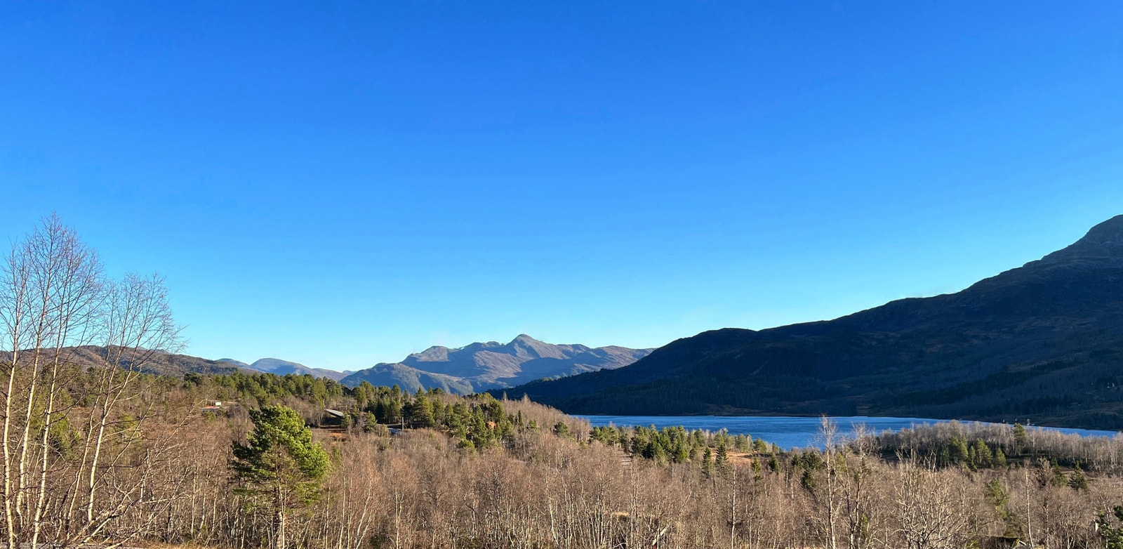 Utsikt fra tomtene Galleribilde