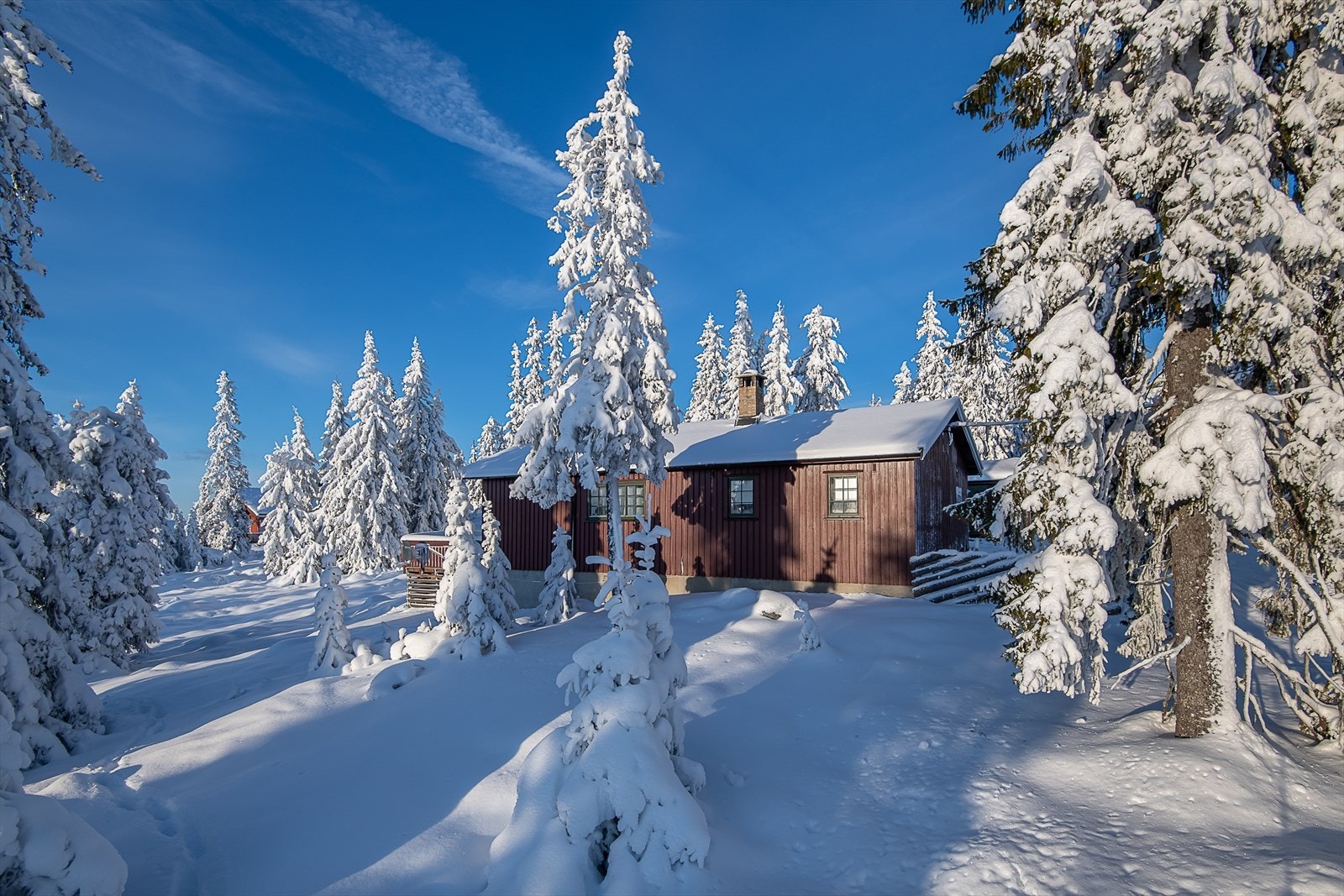 Hyttene er godt plassert i forhold til hverandre. Kort vei ut i oppkjørte skiløyper og ellers et fint utgangspunkt for turer og aktiviteter for hele familien. Galleribilde