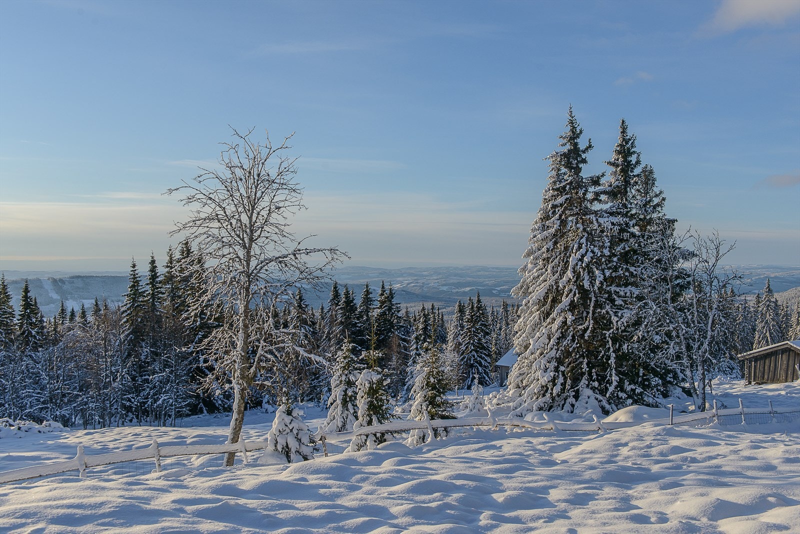 Fritt og fint og en litt annerledes eiendom på Sjusjøen. Du ligger tett på oppkjørte skiløyper og den velkjente Birkebeinerløypa. Galleribilde