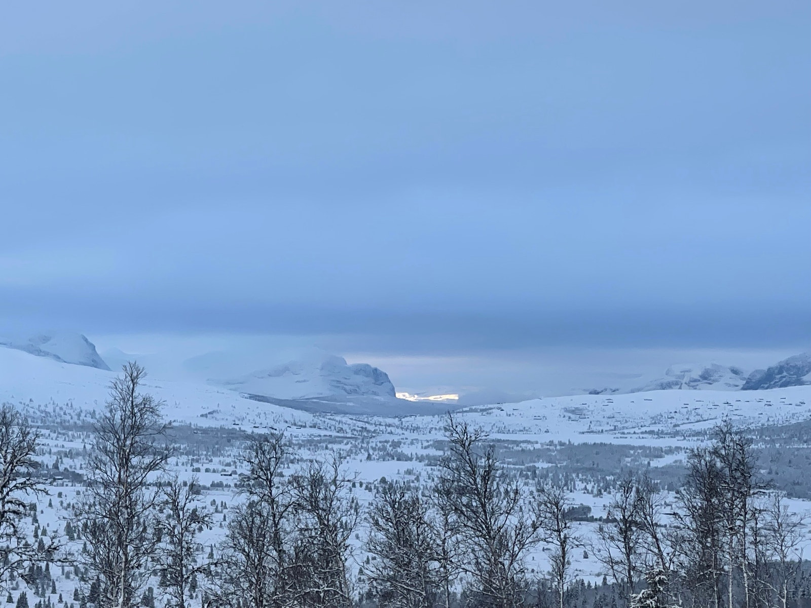 Utsikt mot Vestfjellene Galleribilde