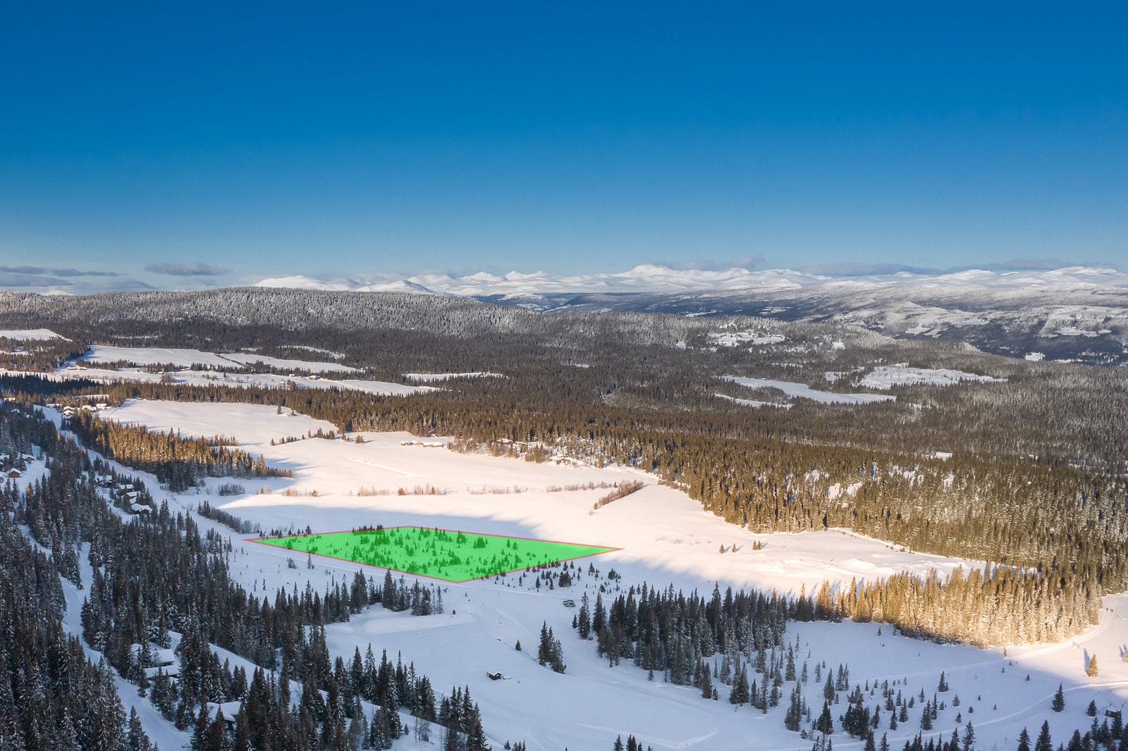 Milevis med langrennsløyper rett utenfor døren Galleribilde