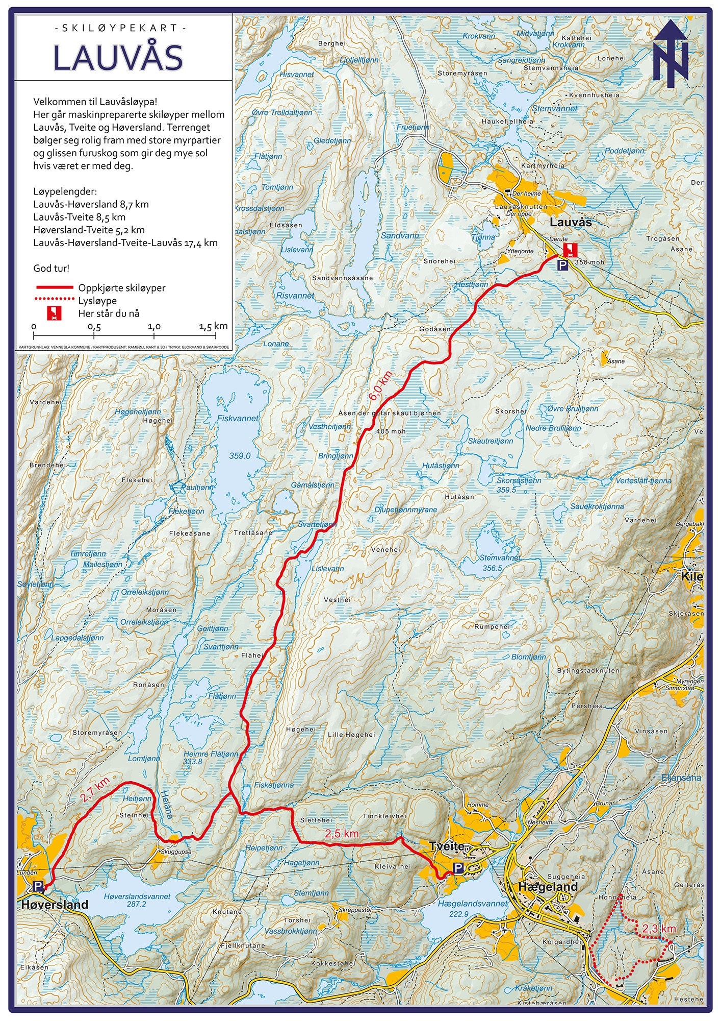 Skispor Galleribilde