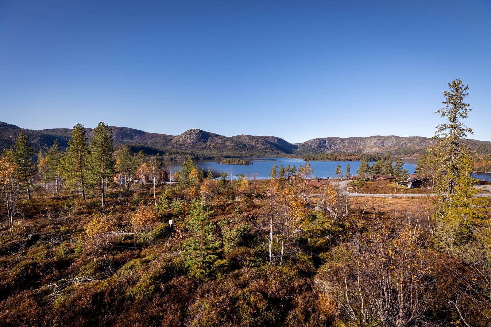 Fra Solliåsen-Nord Galleribilde