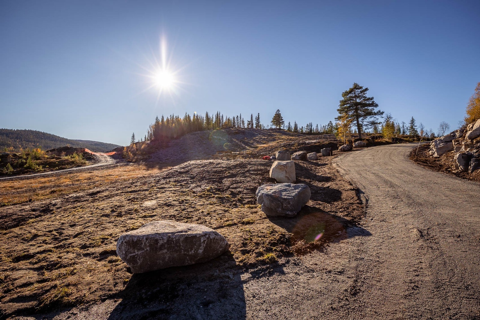Fra Solliåsen-Nord Galleribilde