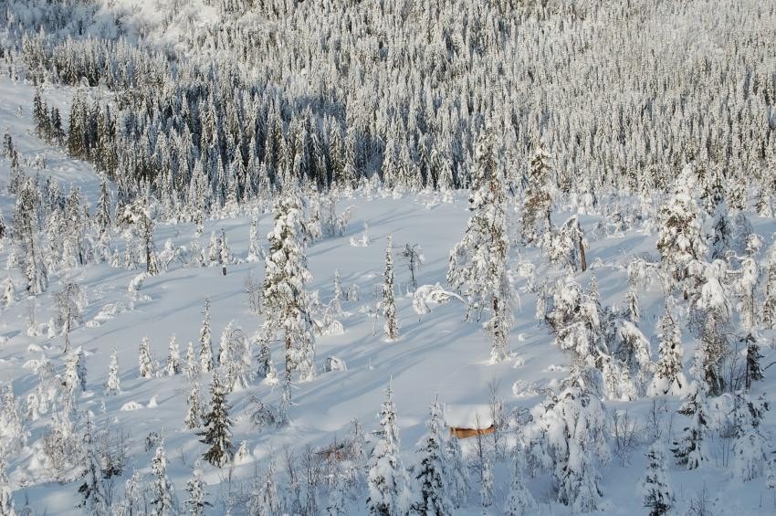 Områdebilde Galleribilde