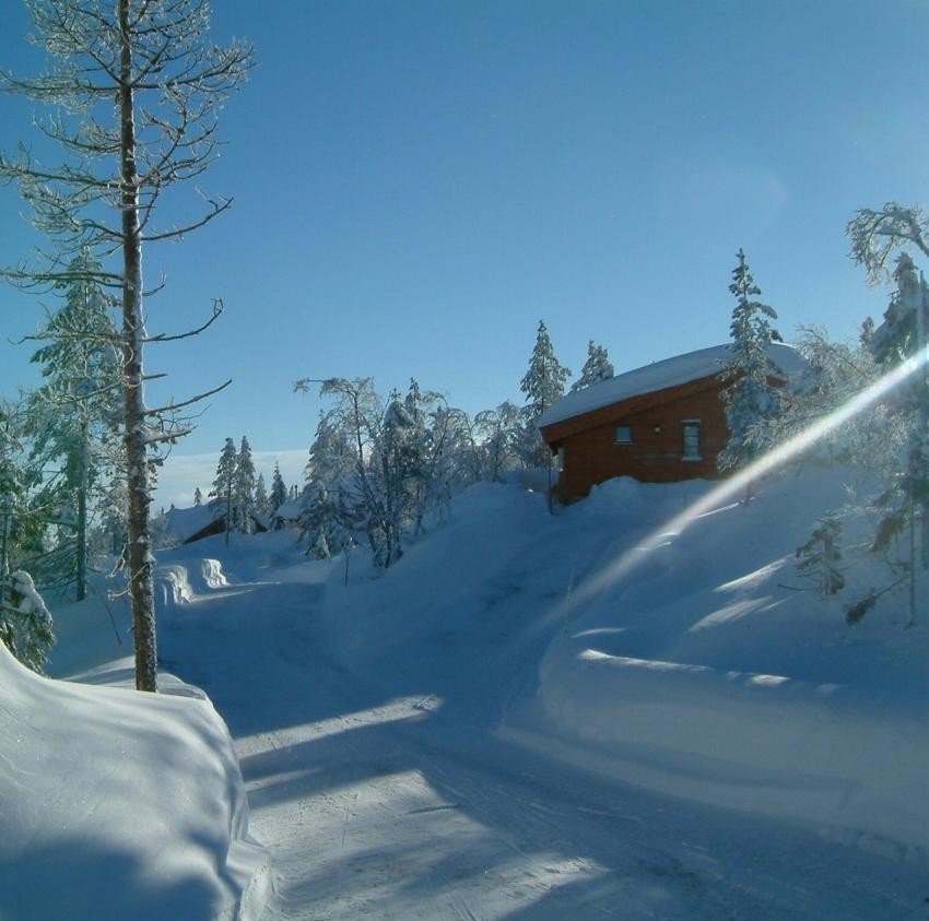 Områdebilde Galleribilde