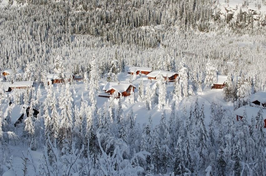 Områdebilde Galleribilde