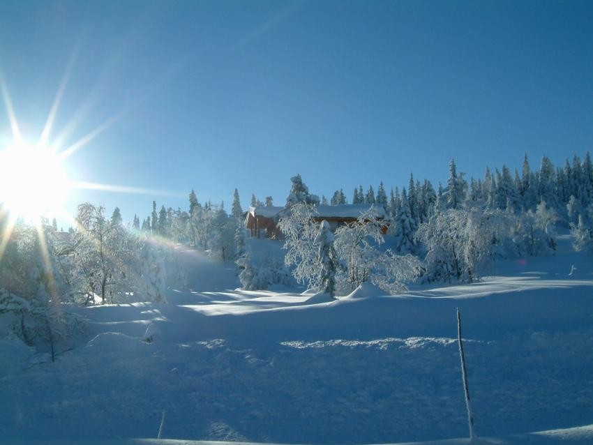 Områdebilde Galleribilde