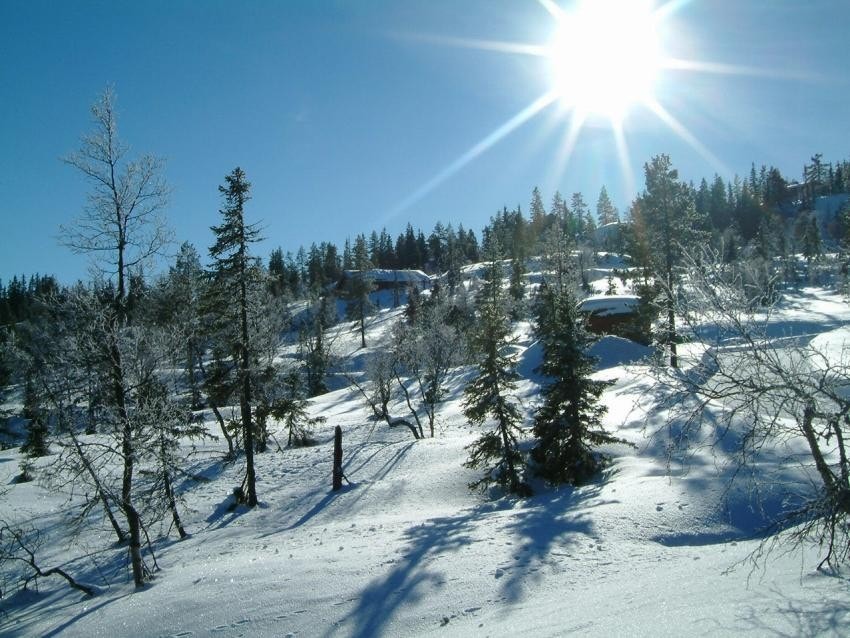 Områdebilde Galleribilde