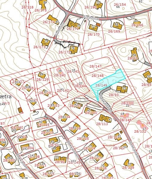 Utklipp fra tomtekartet Galleribilde