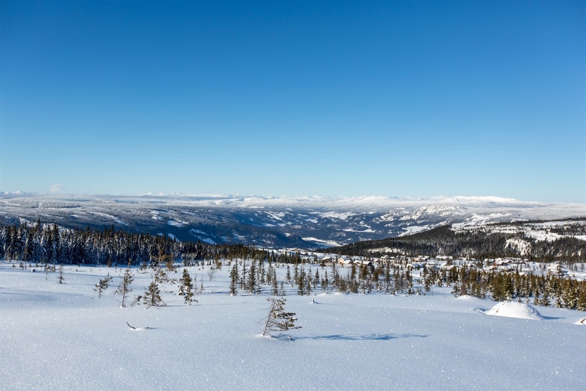 Fra tomteområdet mot Gudbrandsdalen Galleribilde