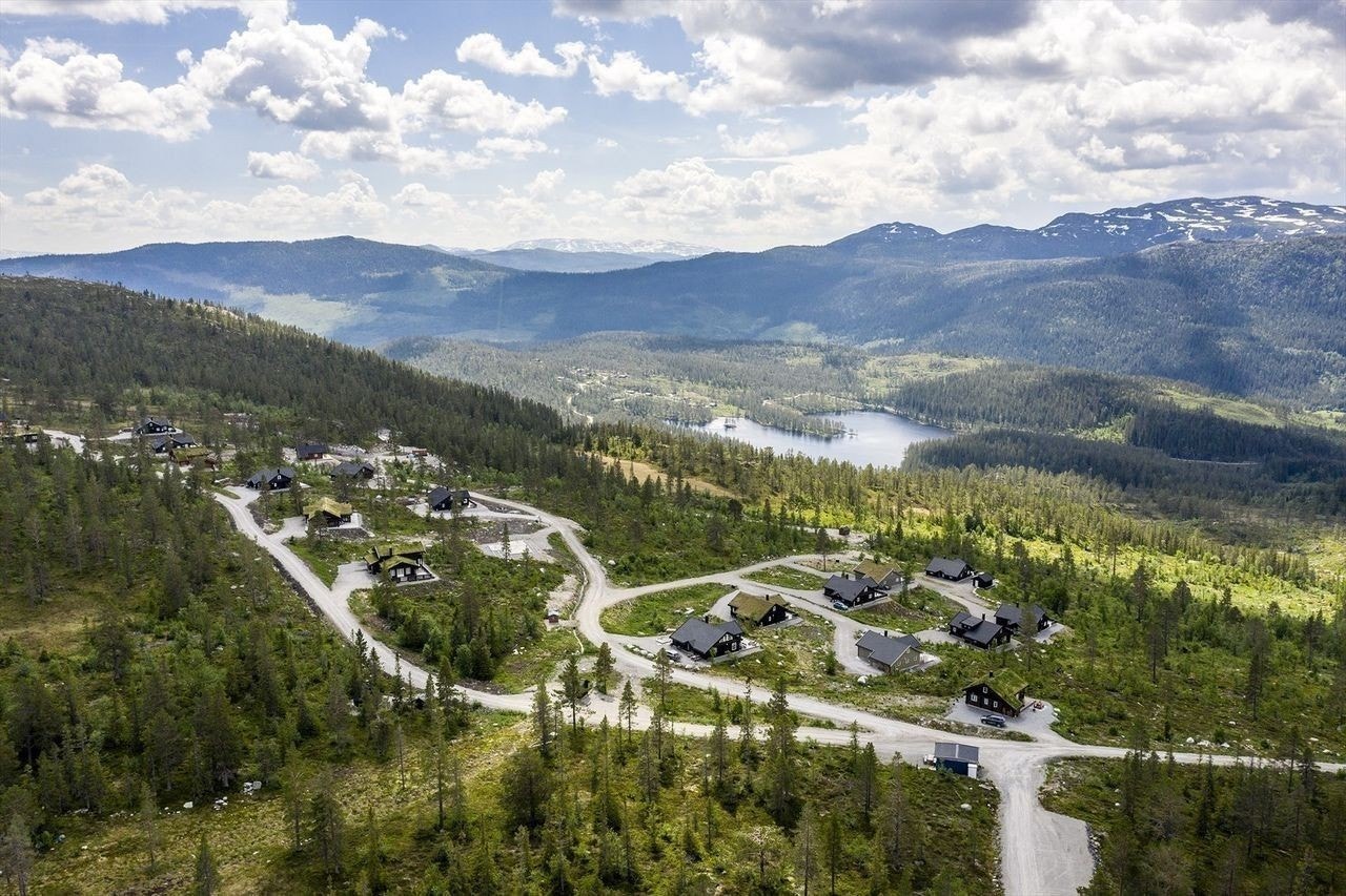 Bilder av området sommer Galleribilde