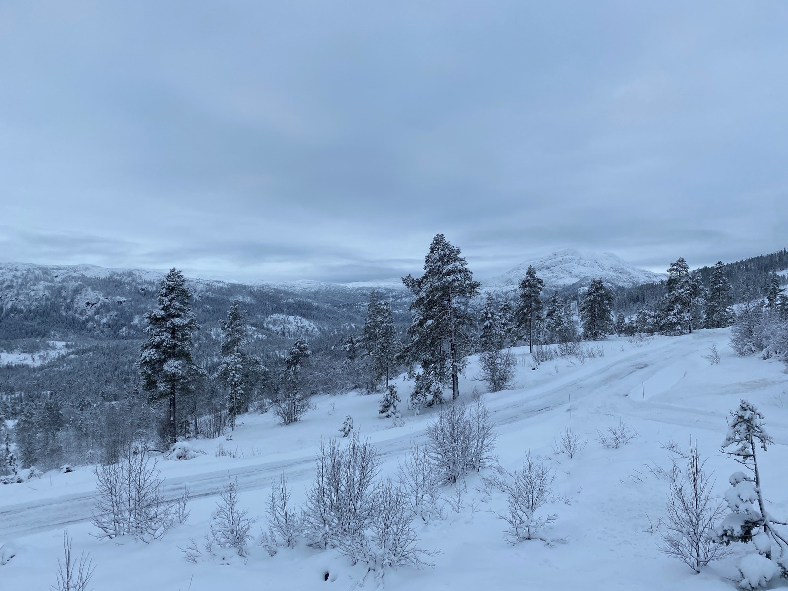 Utsikt i fra tomteområdet, tomt ligger på samme høydekurve Galleribilde