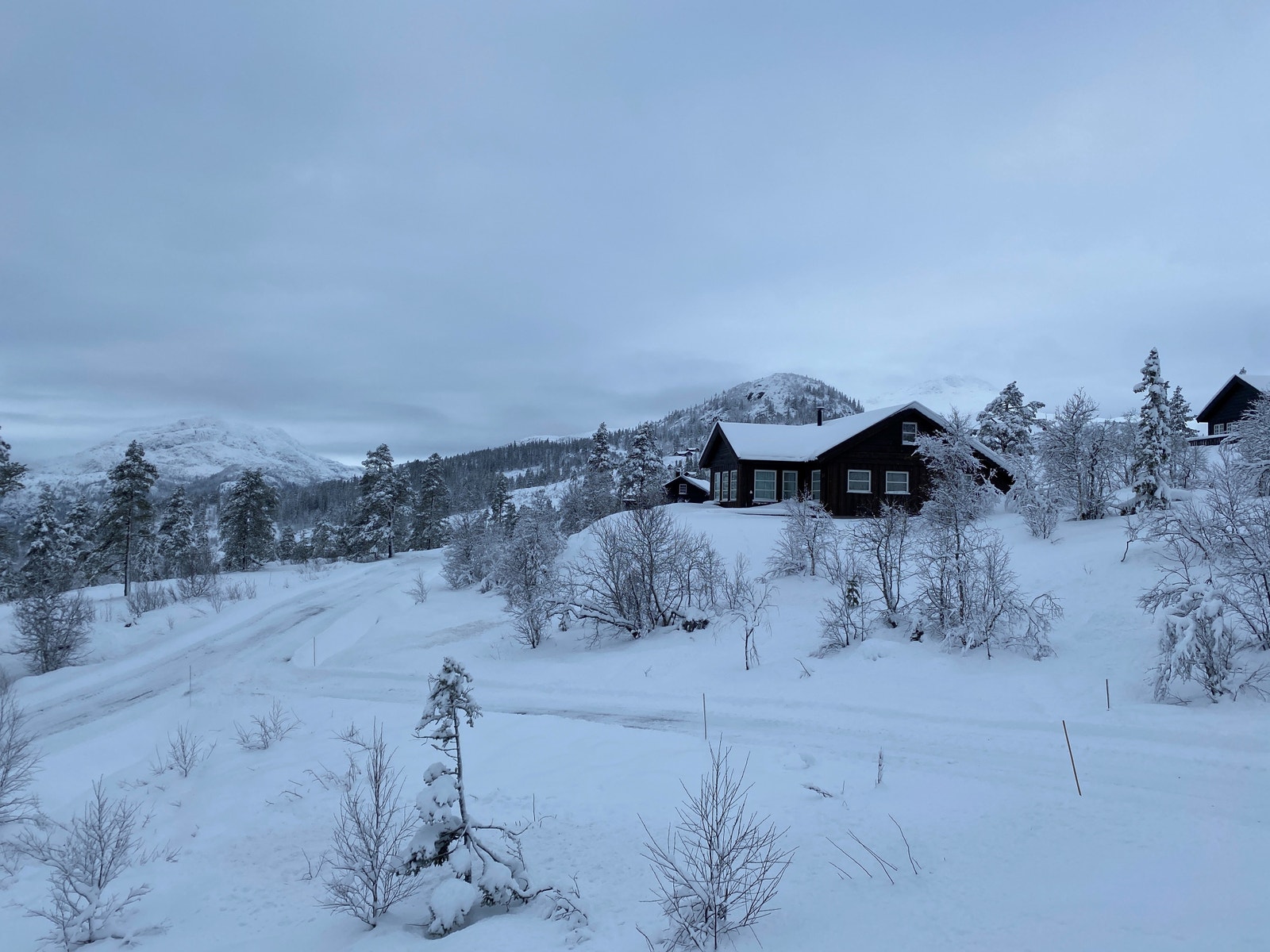 Utsikt i fra tomteområdet, tomt ligger på samme høydekurve Galleribilde