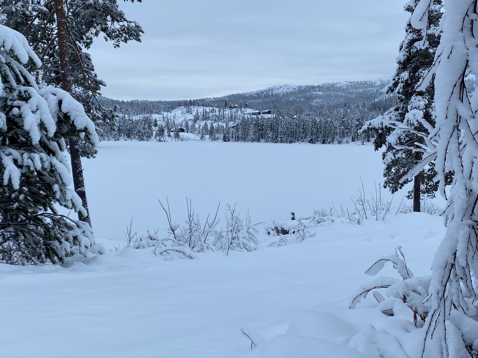 vann med fiksemuligheter ved kjøp av fiskekort Galleribilde