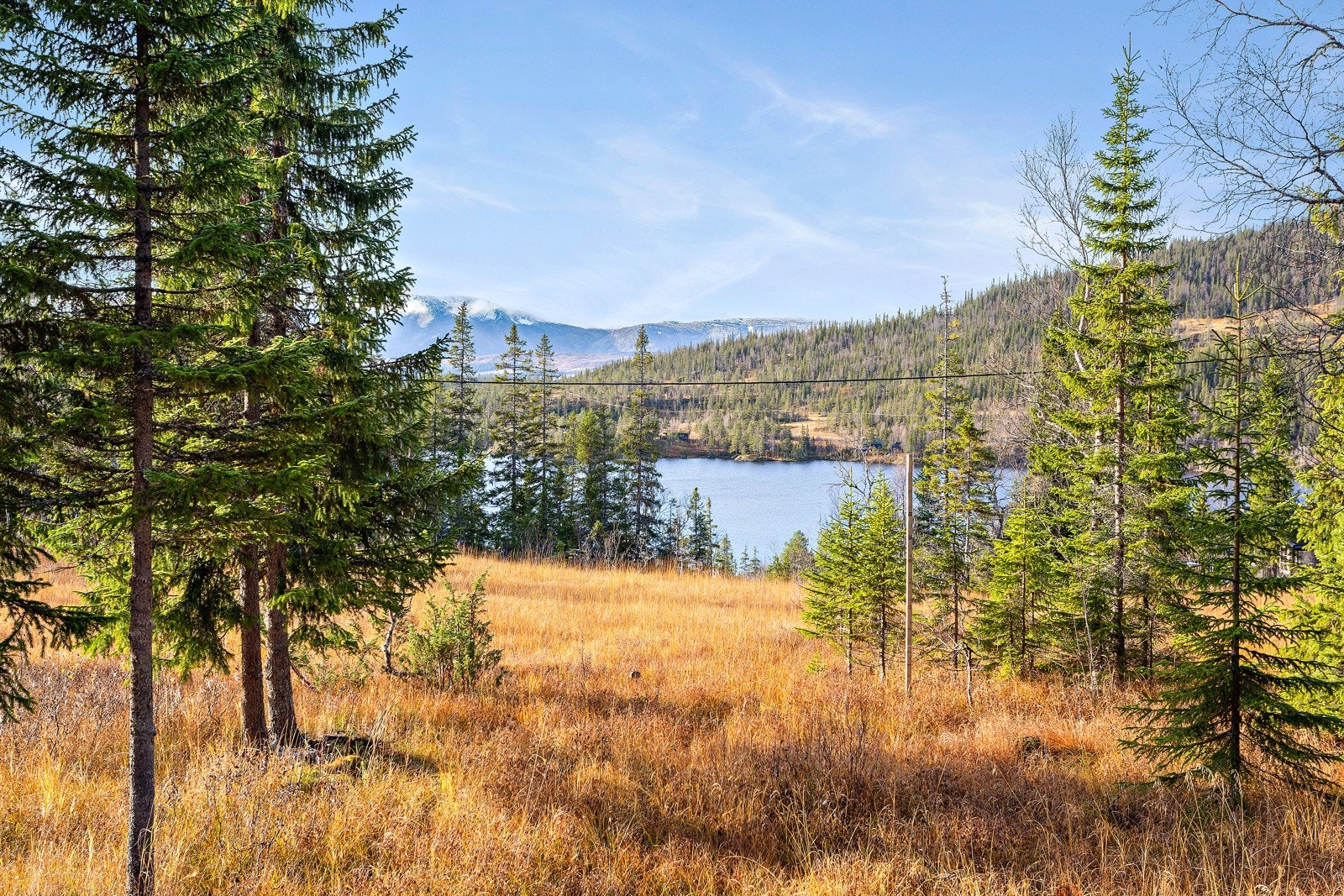 Områdebilde. Det er opparbeidet plen rundt hytta. Det er laget trapp i naturstein opp til plass hvor man pleier å parkere sommerstid. Galleribilde