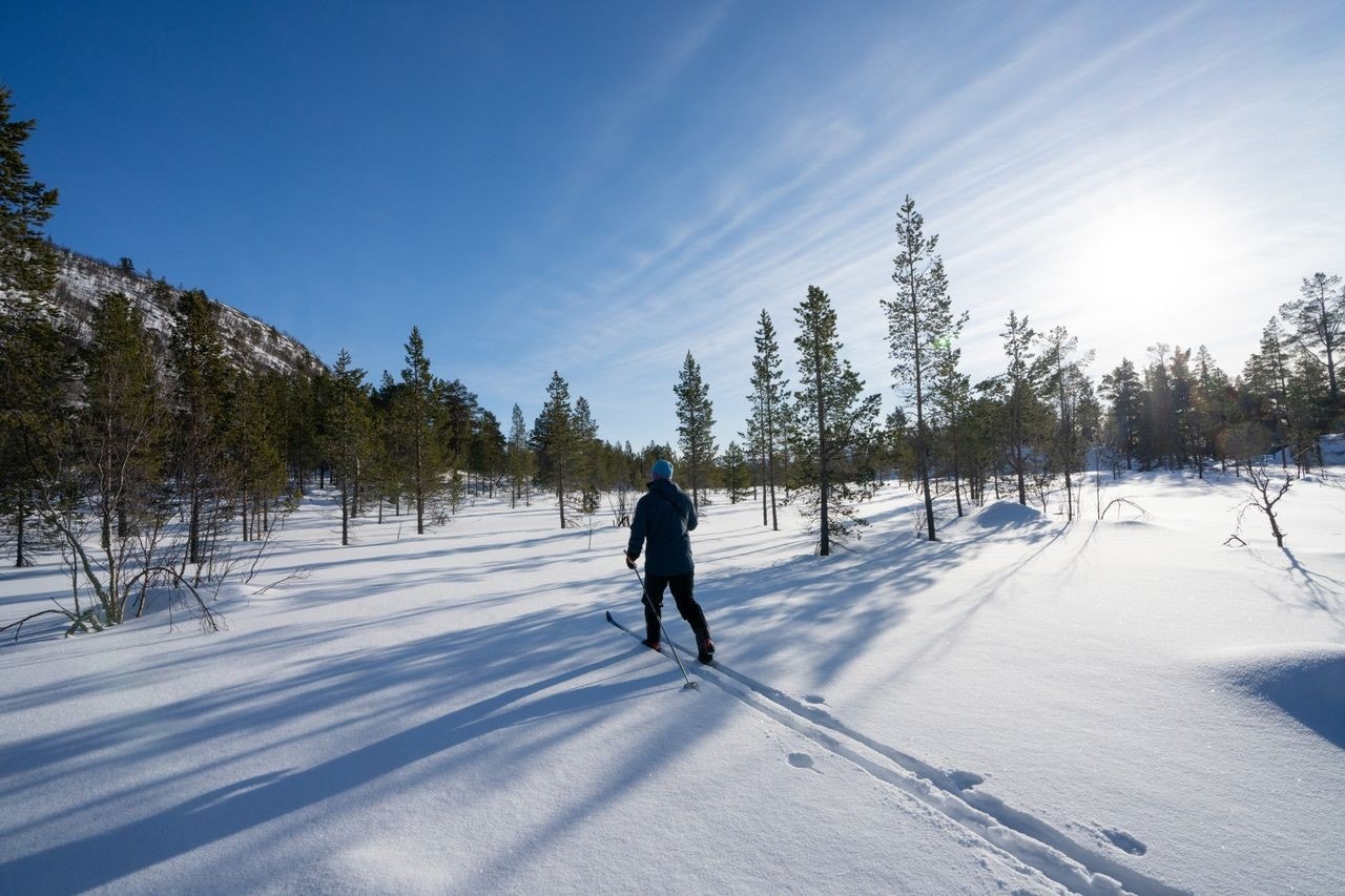 Savalkletten er et rolig område med nærhet til det meste Savalen har å by på Galleribilde