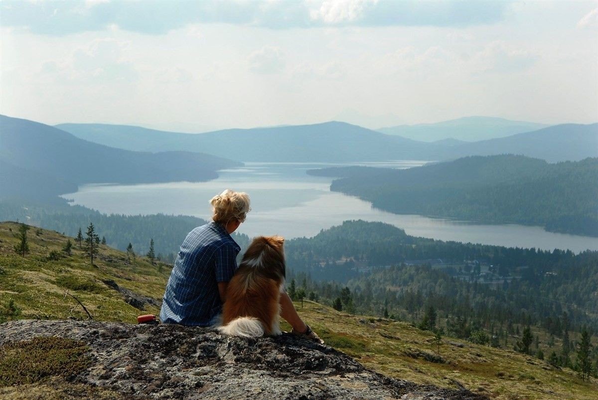 Et flott turmål 20 min gange bakenfor hytta er Savalkletten Galleribilde