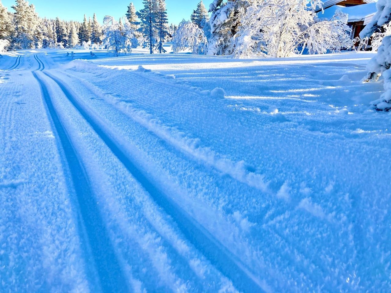 Meget gode skiløyper med tilkomst rett bak hytta Galleribilde