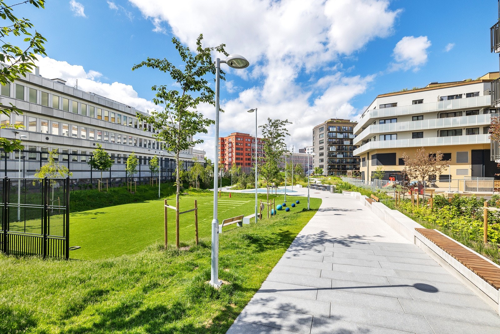 Sommerbilder - nærområdet. Galleribilde