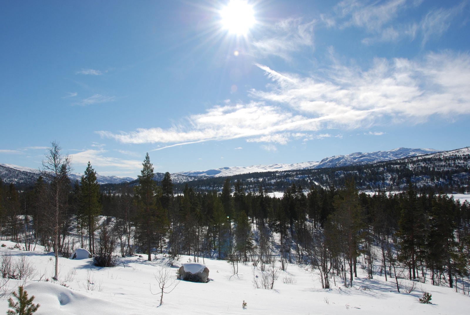Bilde fra Vidsyn hyttefelt Galleribilde