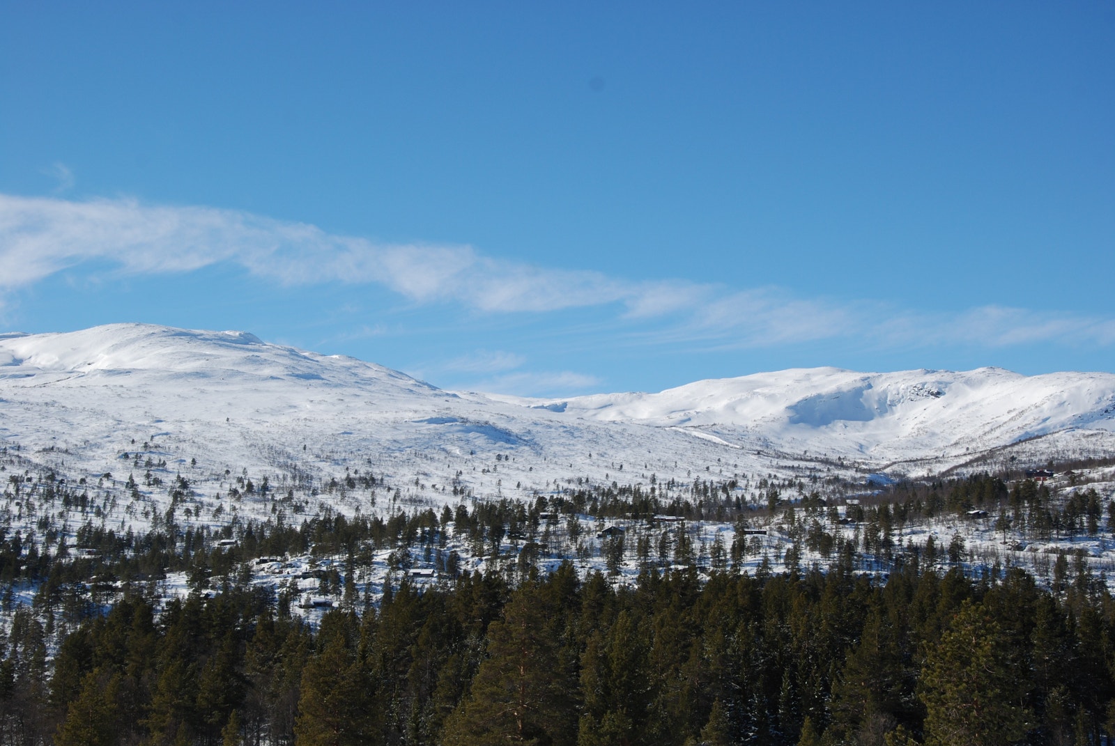 Bilde fra Vidsyn hyttefelt Galleribilde