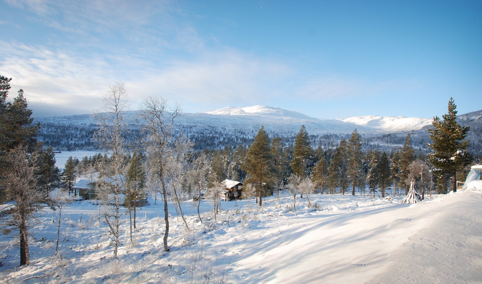 Bilde fra Vidsyn hyttefelt Galleribilde