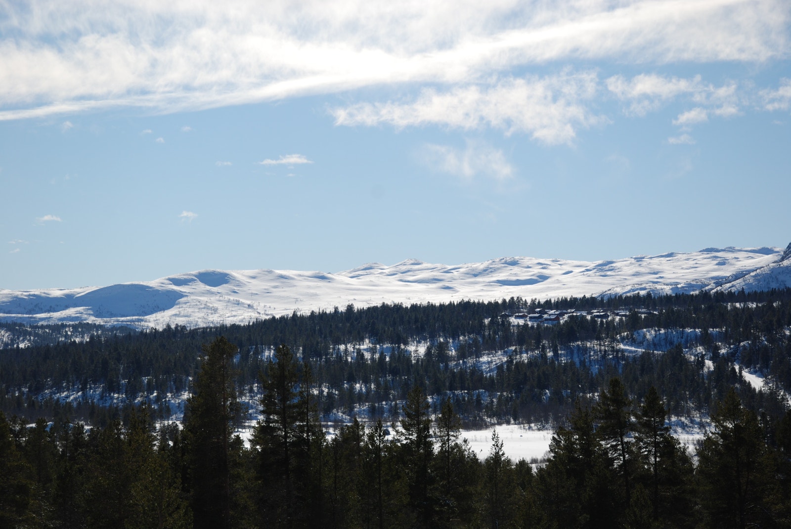 Bilde fra Vidsyn hyttefelt Galleribilde