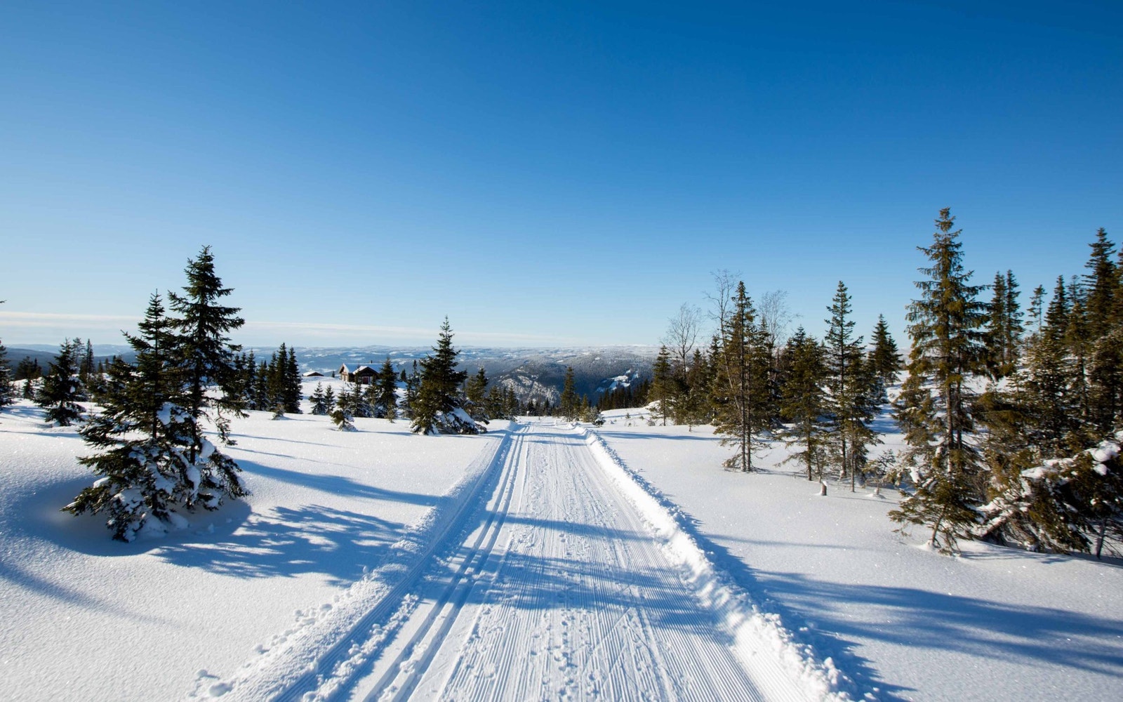Skiløypene går rett utenfor hyttedøra og du kan gå milevis innover fjellet! Galleribilde