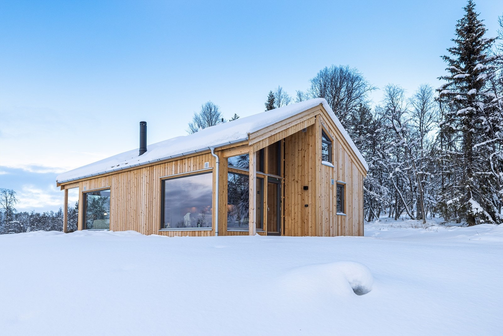 Moderne og fine linjer Galleribilde