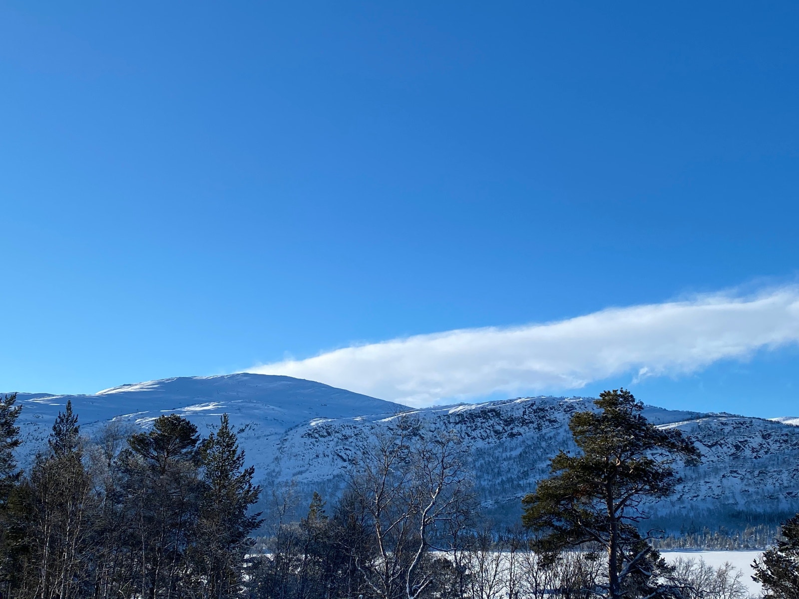 Omgivelsene er helt fantastiske her rundt Hartevann - Hovdenut & Alpinanlegget her på Hovden.
Utsikten her er fra en av tomtene! Galleribilde