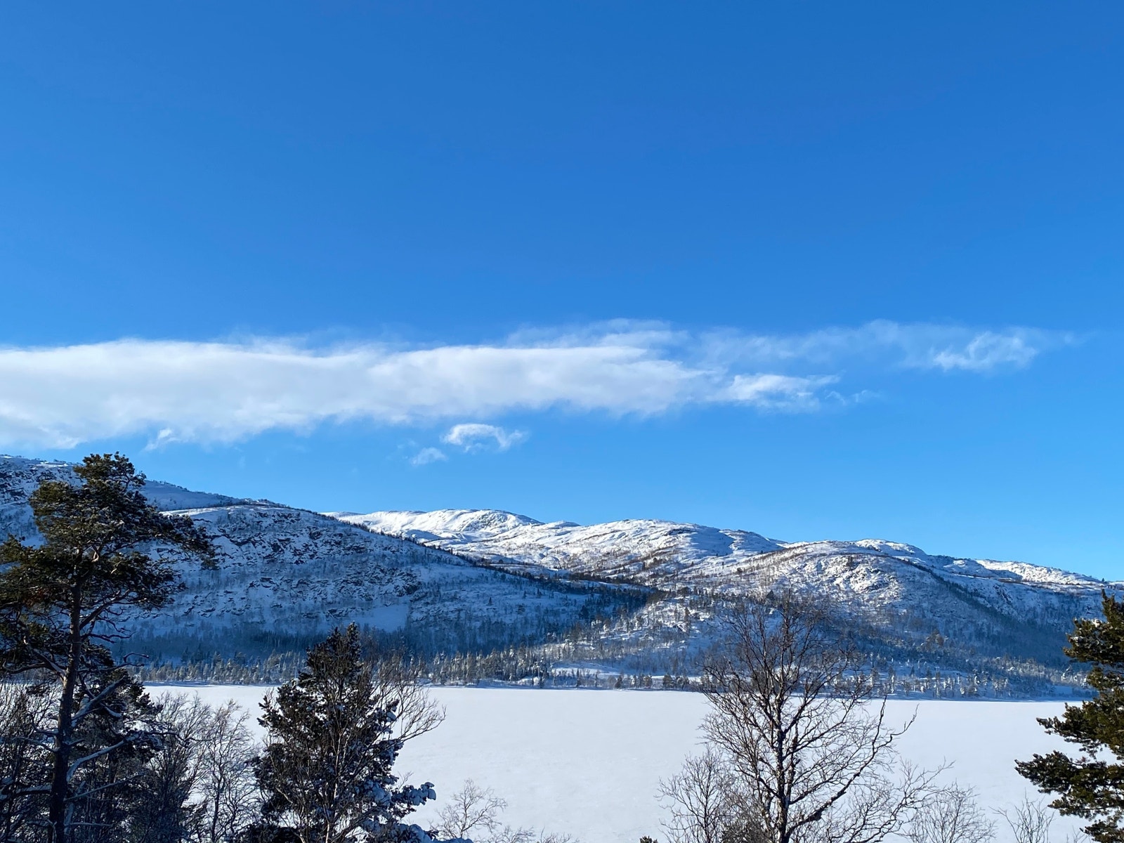 Omgivelsene er helt fantastiske her rundt Hartevann - Hovdenut & Alpinanlegget her på Hovden.
Utsikten her er fra en av tomtene! Galleribilde