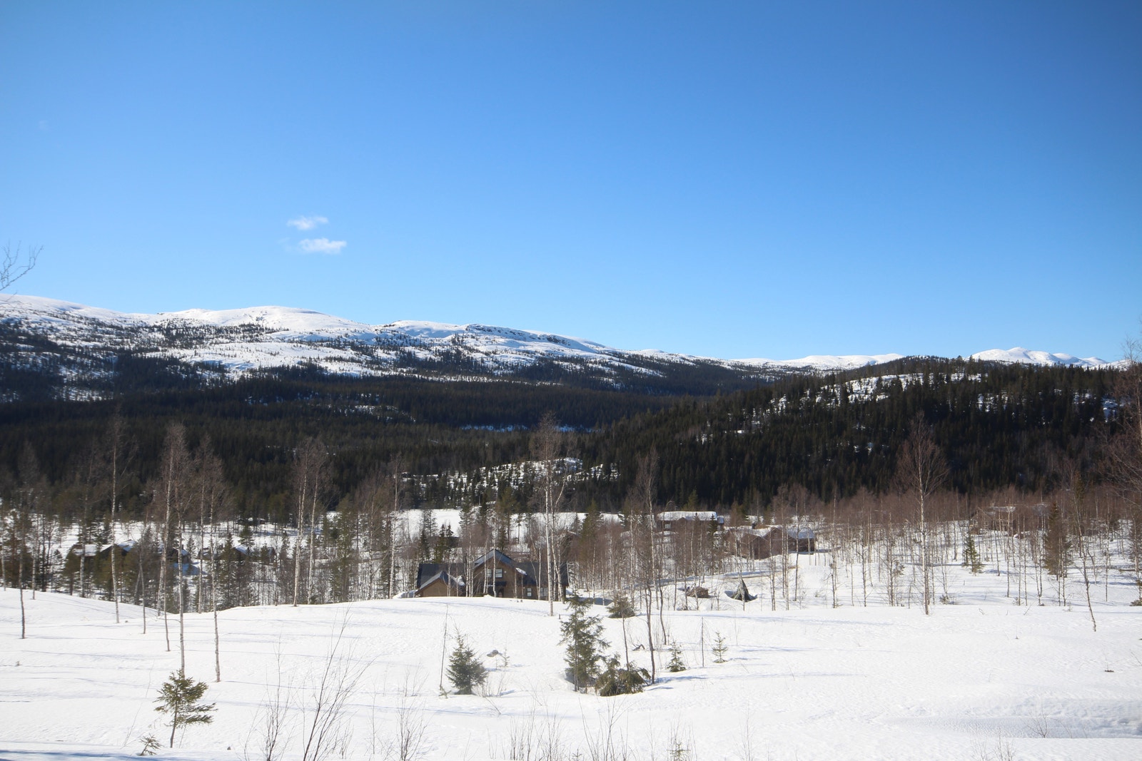 Nydelig utsikt og kveldssol fra vest (Bilde er fra tomt 135) Galleribilde
