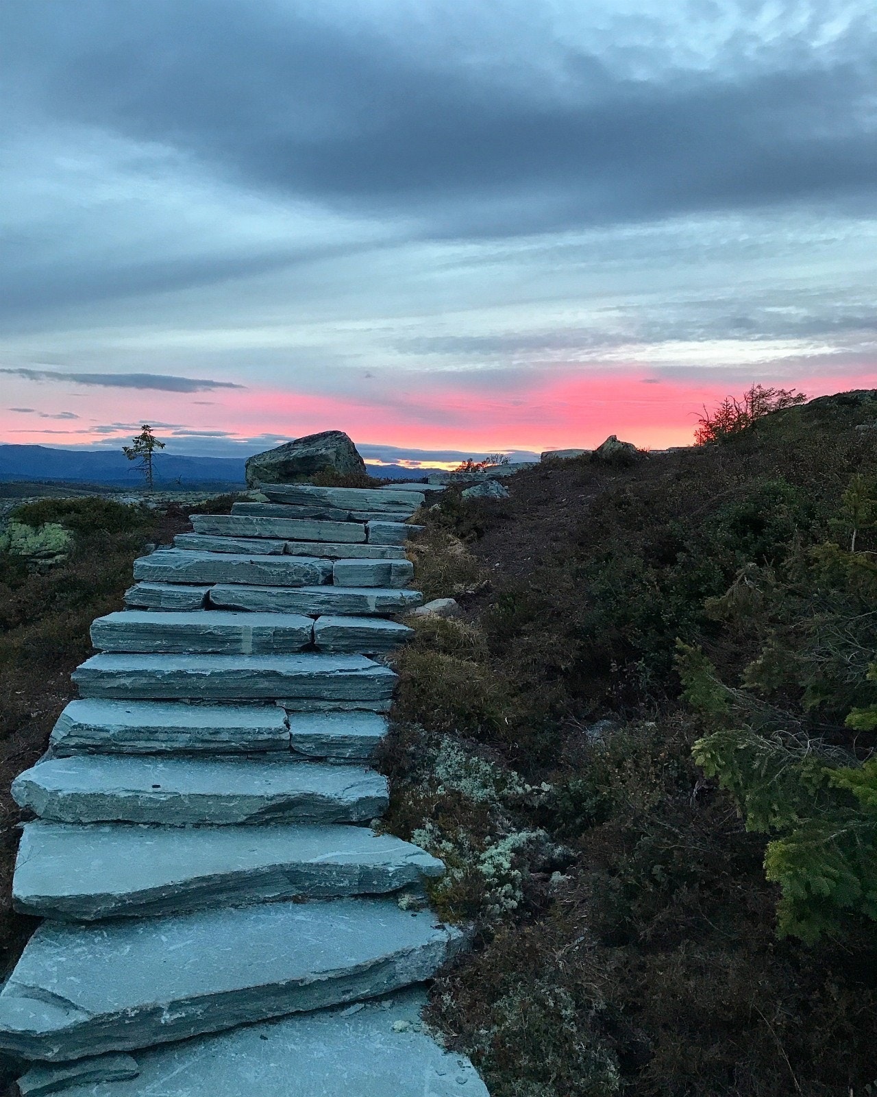Sherpastien til Madonnaen ved Trillemarka Galleribilde