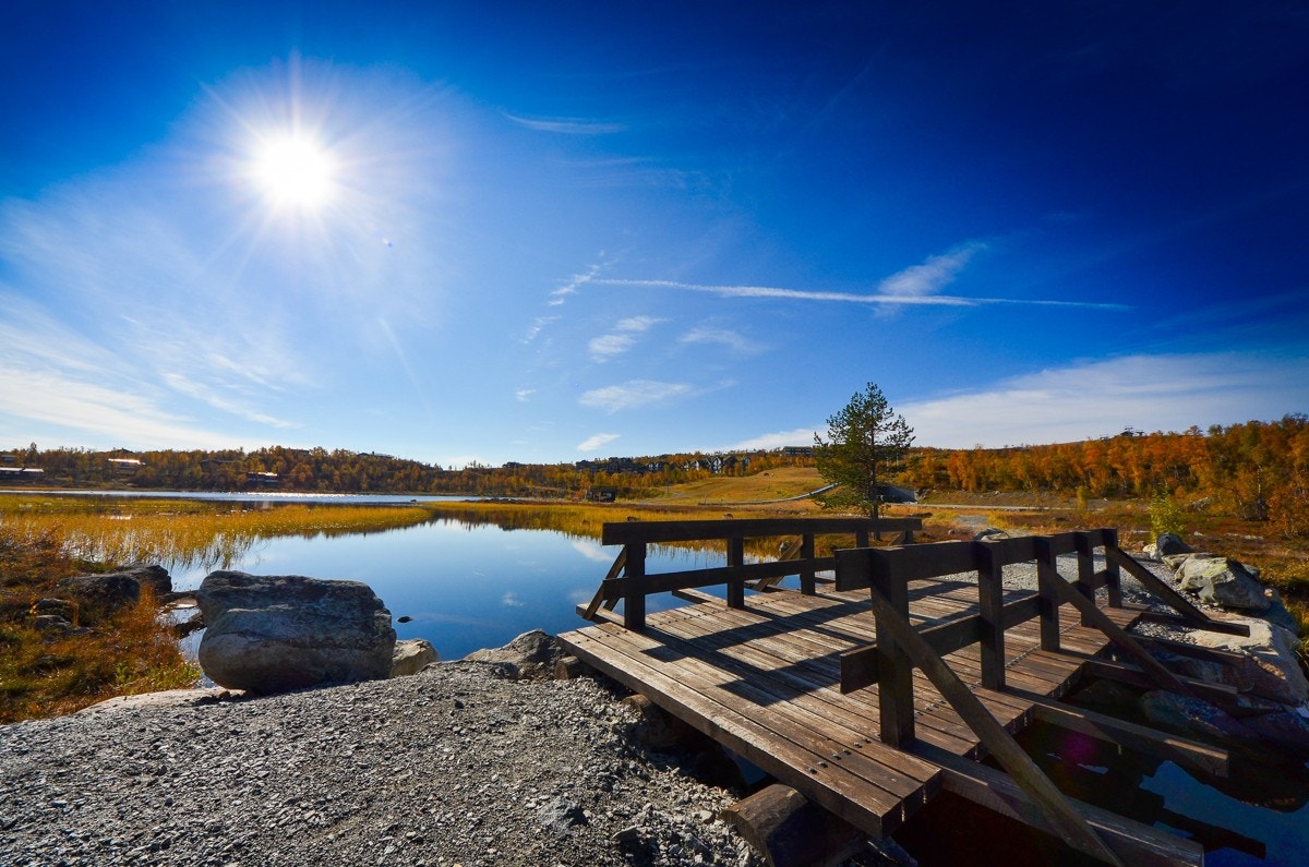 Fjellstiene ligger der og venter - enten du foretrekker å vandre, eller sykle. Galleribilde