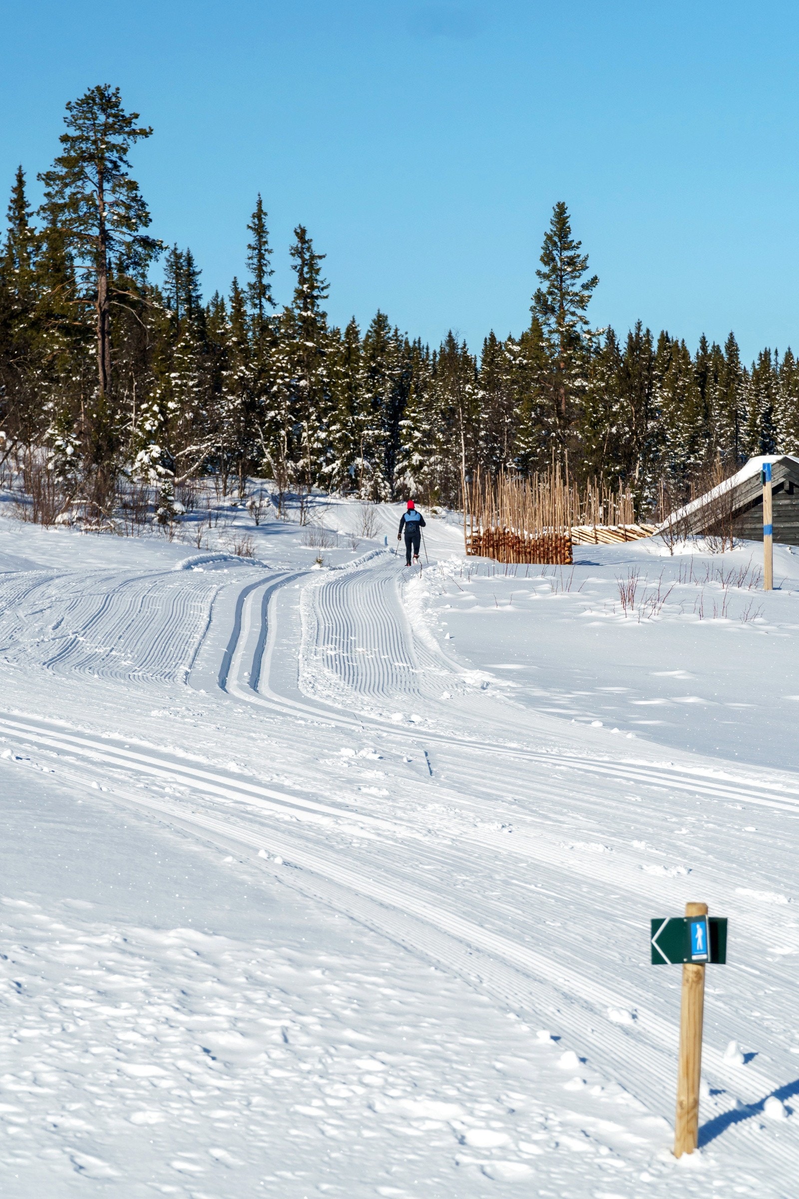 Skisporet Galleribilde