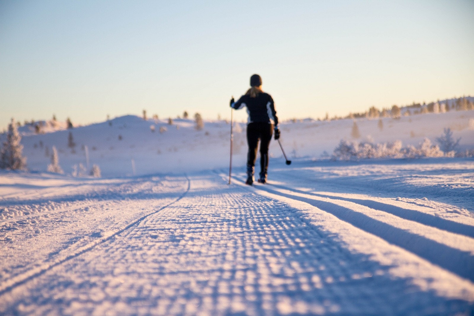 Familievennlige langrennsløyper (bilde fra skagahøgdi.no) Galleribilde