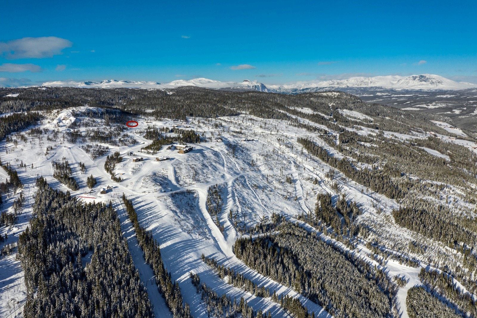 Tomtefeltet ligger på toppen av skisenteret Galleribilde