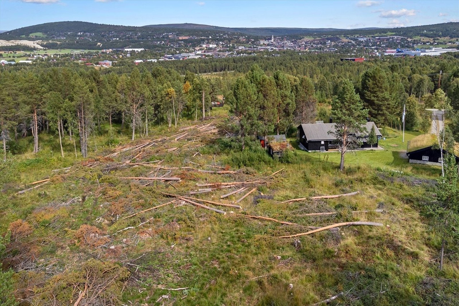 Hånesrabben Hyttefelt Galleribilde