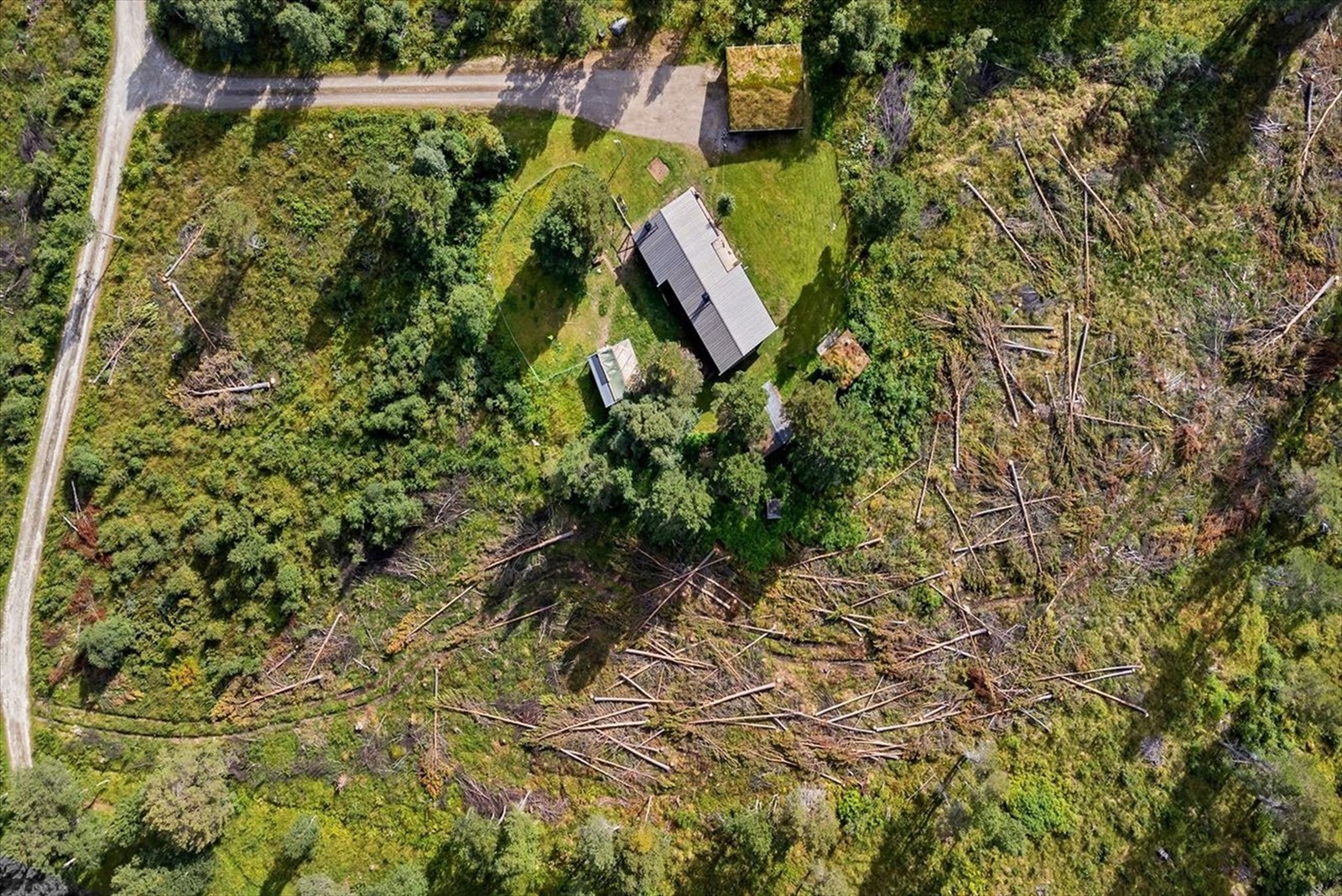 Hånesrabben Hyttefelt Galleribilde