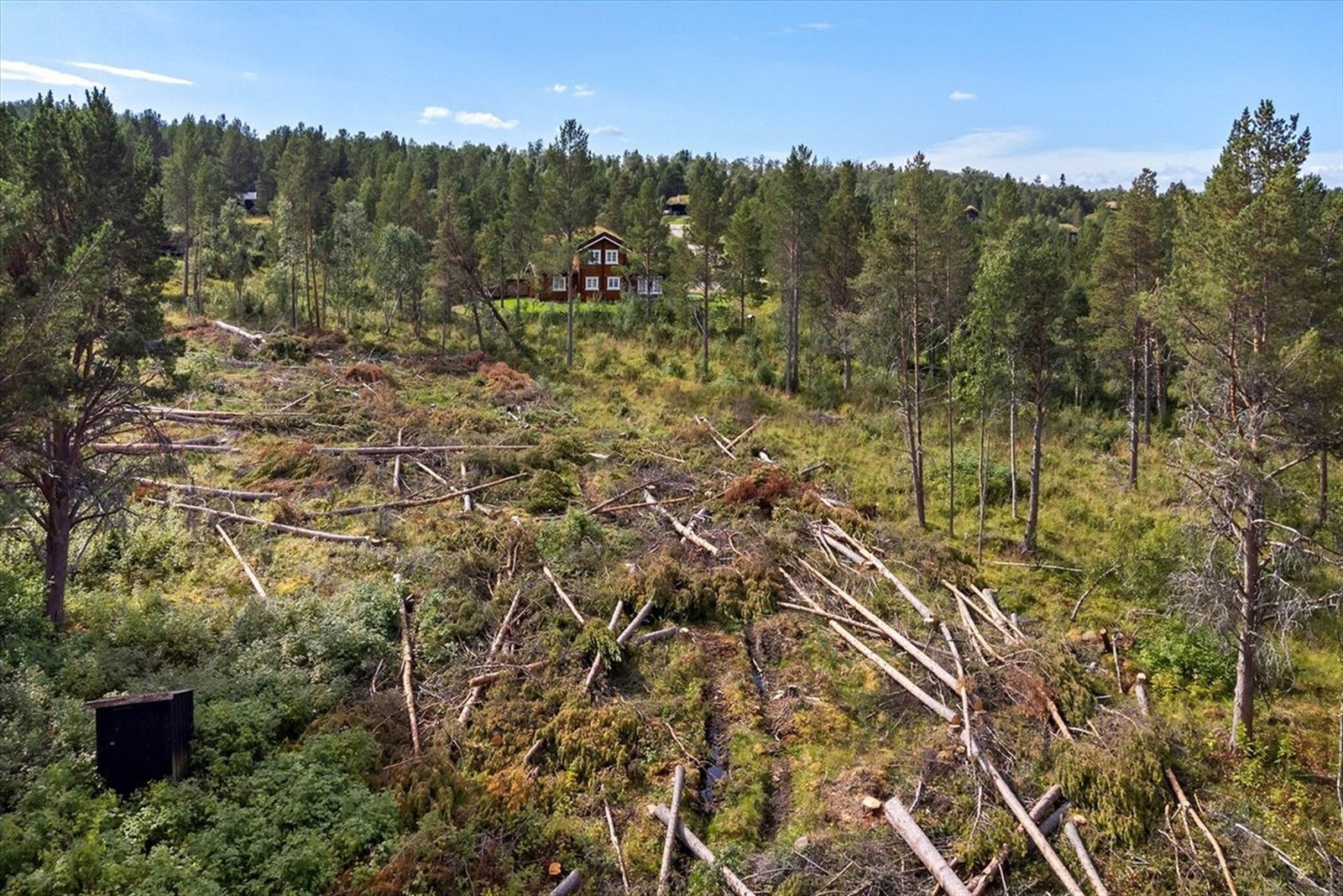 Hånesrabben Hyttefelt Galleribilde