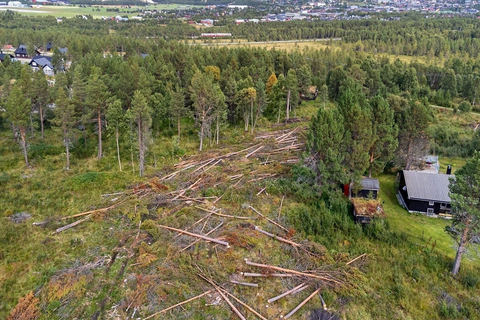 Hånesrabben Hyttefelt Galleribilde