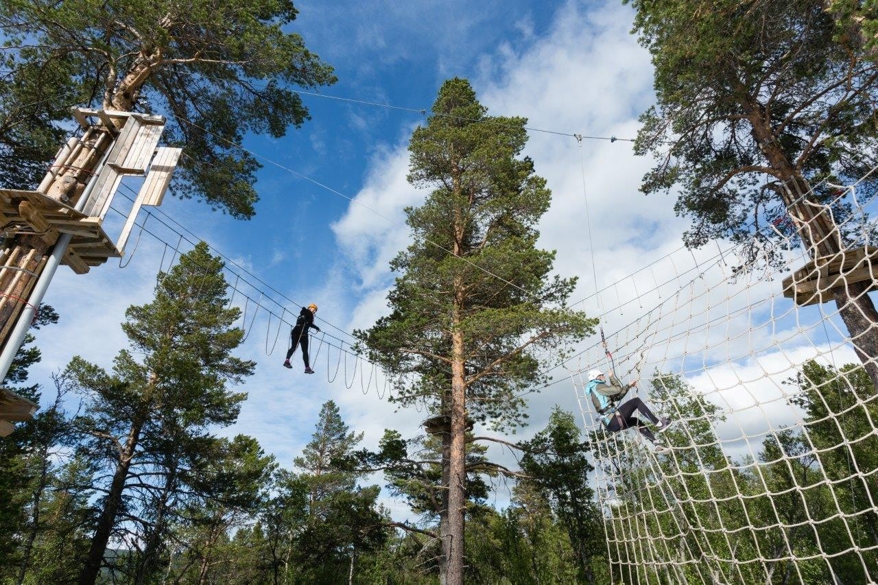 Høydepark Galleribilde